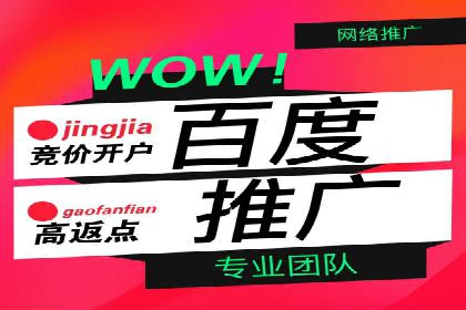 某零售业SEM策略调整，实现销售业绩大增